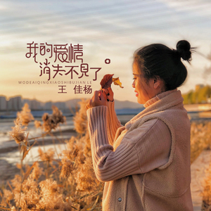 男女日皮在线观看动漫版无码
